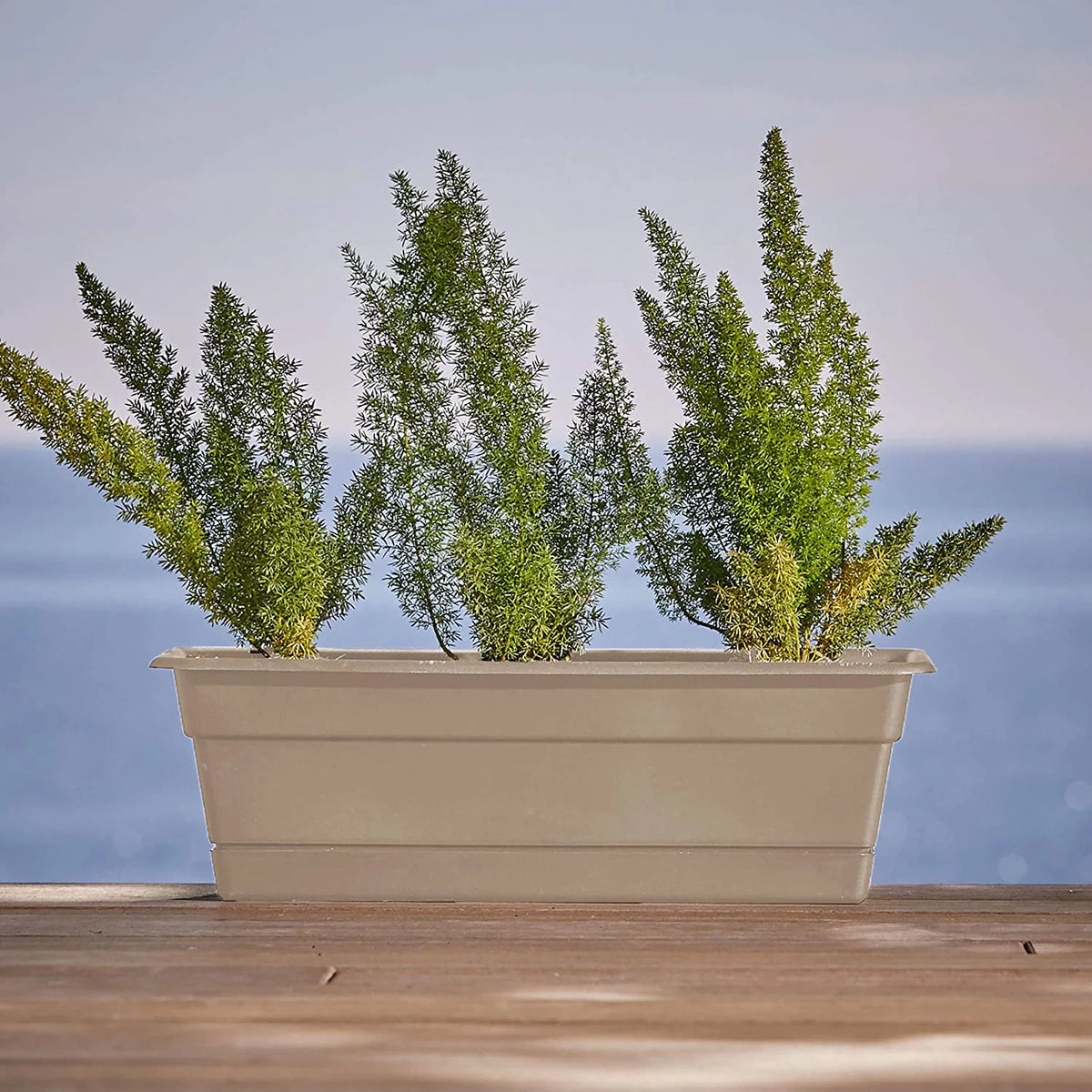 Window Box Planter with Tray 24" Z6240