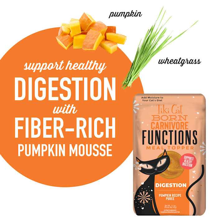 Pumpkin Recipe Puree Meal Topper N9091