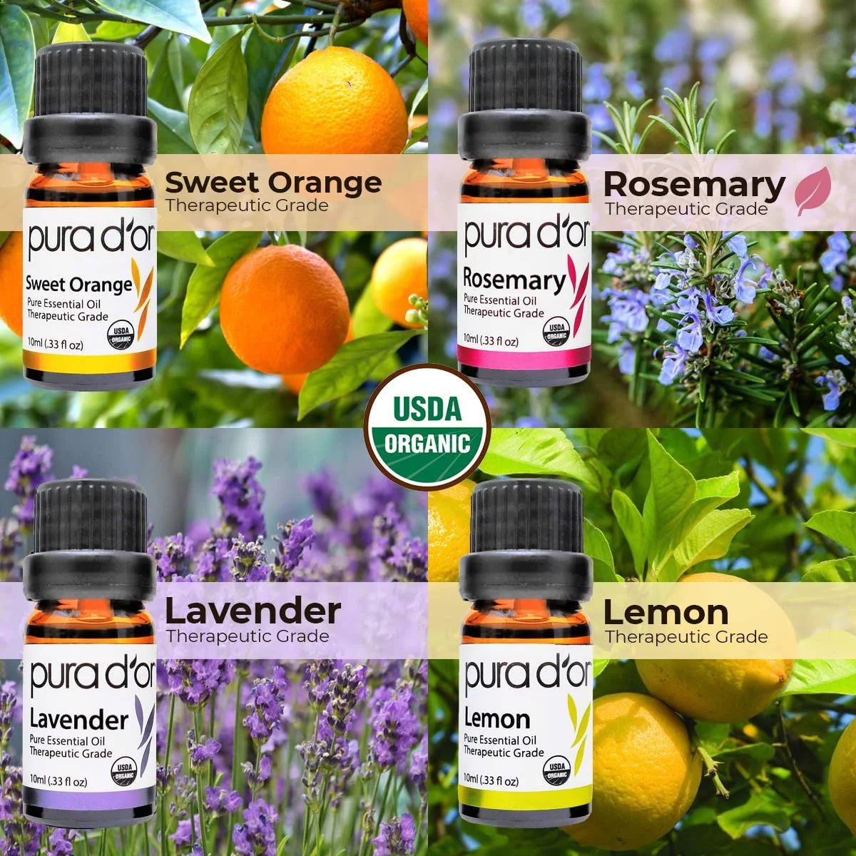 Essential Oil Wood Box Gift Set 10mL x16 X1763