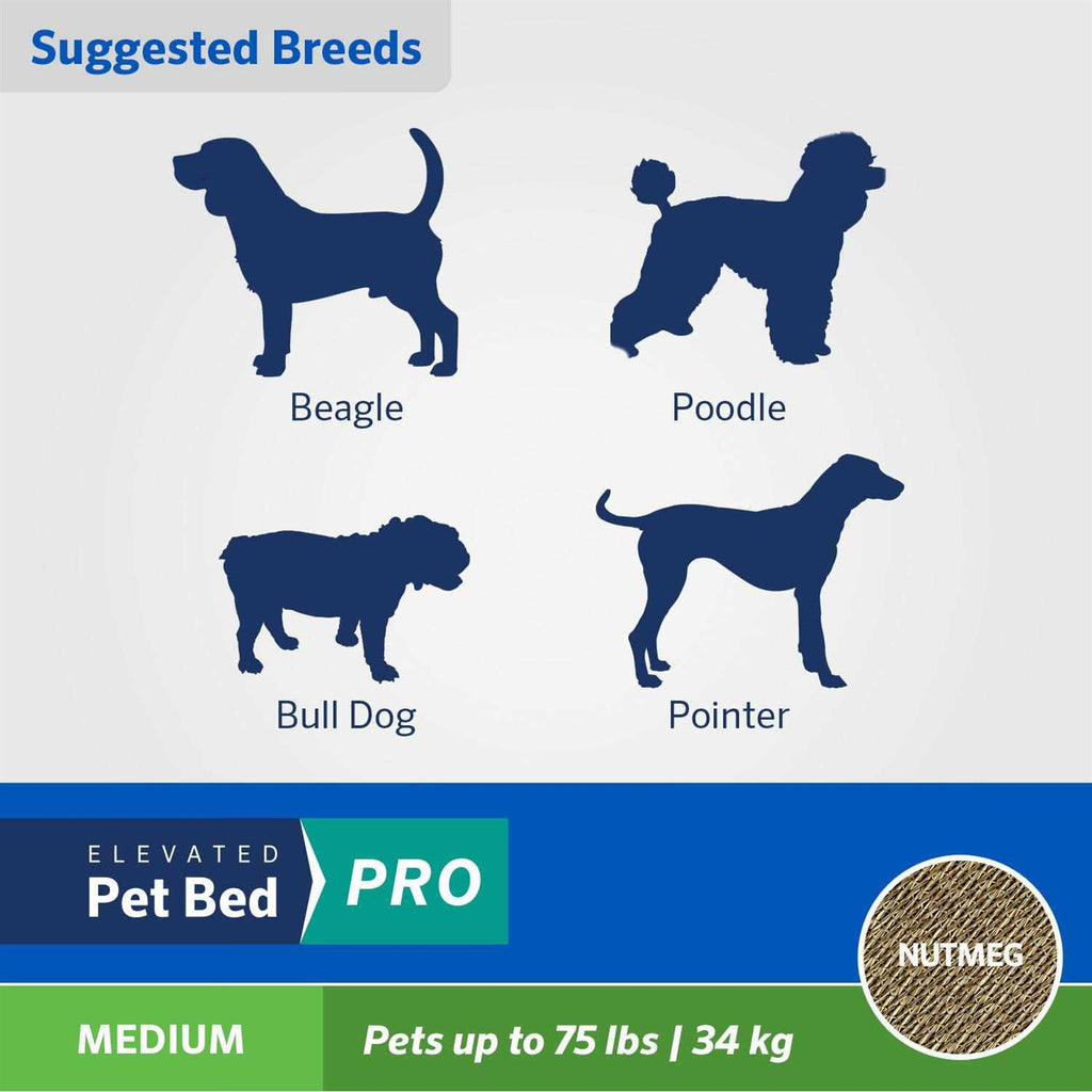 Elevated Pet Bed I6658