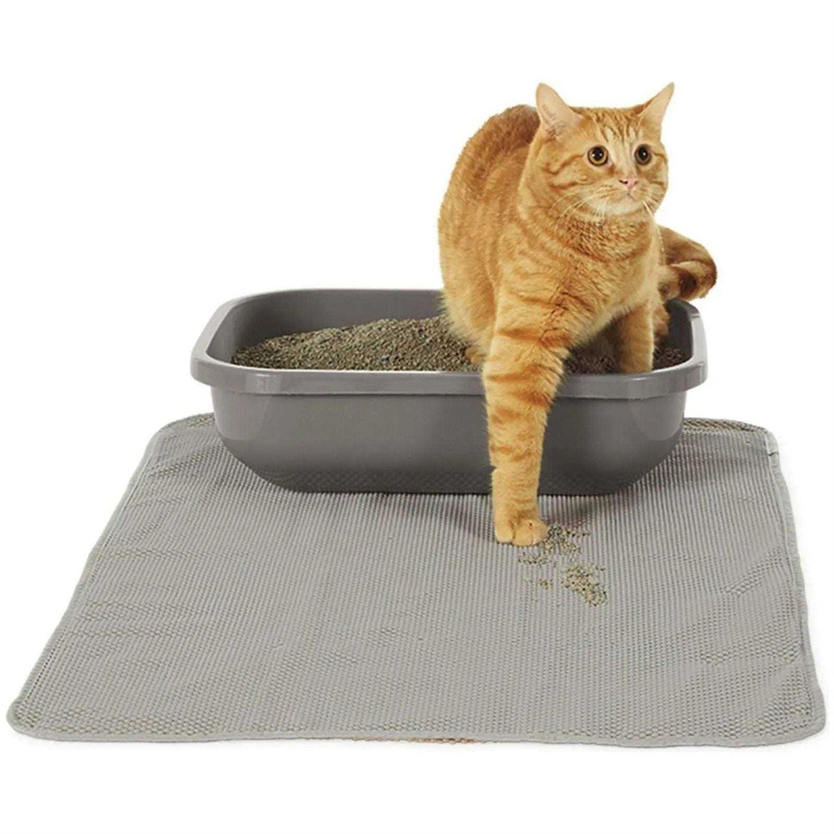Litter Mat Q85723