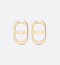 Earrings F197
