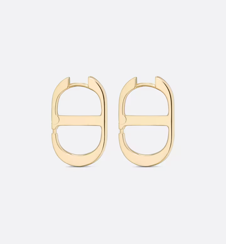 Earrings F197
