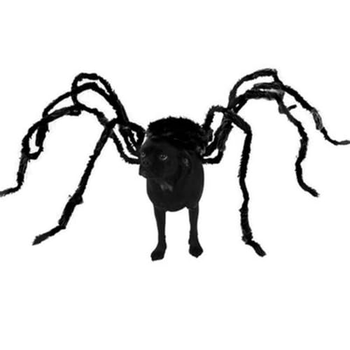 XX-Large Spider-Long Legs Pet Attire Z2521
