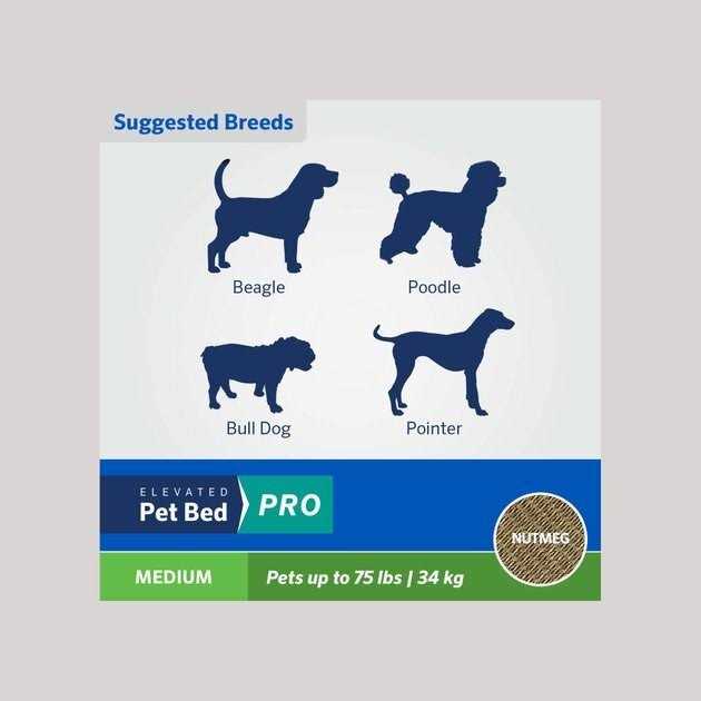 Elevated Pet Bed I6658