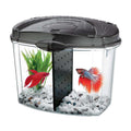 Betta Bowl Kit K541663