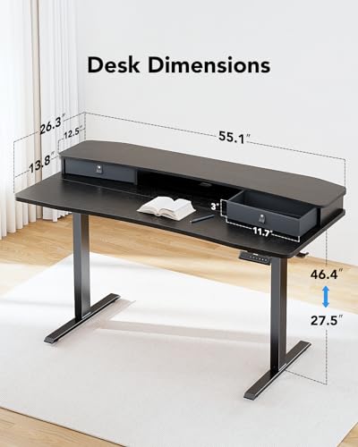 48″ x 24″ Black Electric Standing Desk with 2 Drawers X671