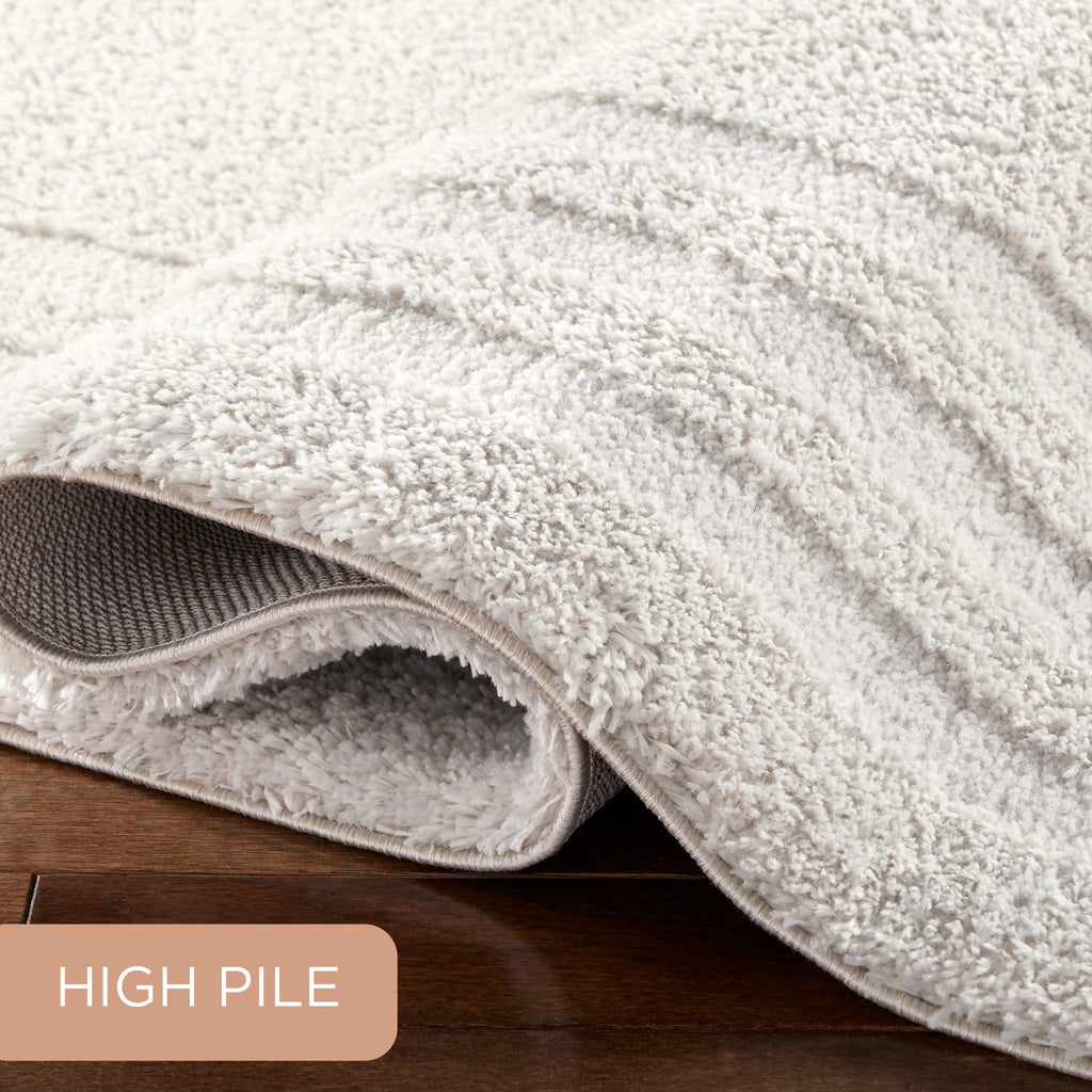 Beige Shag Area Rug 7'10"x10'2" G88294