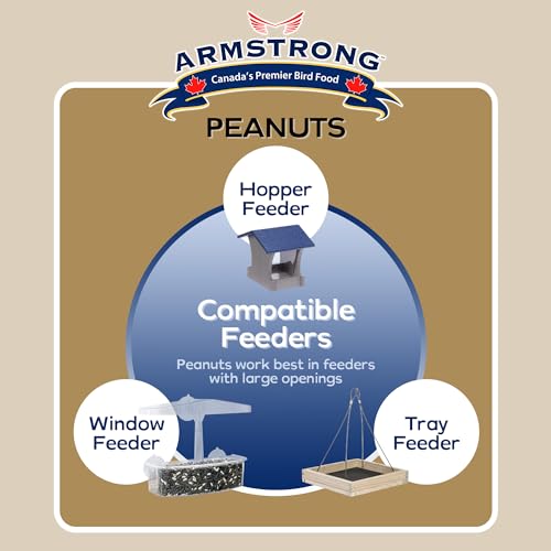 Shelled Peanut Halves Bird Seed 20 Pounds J81043