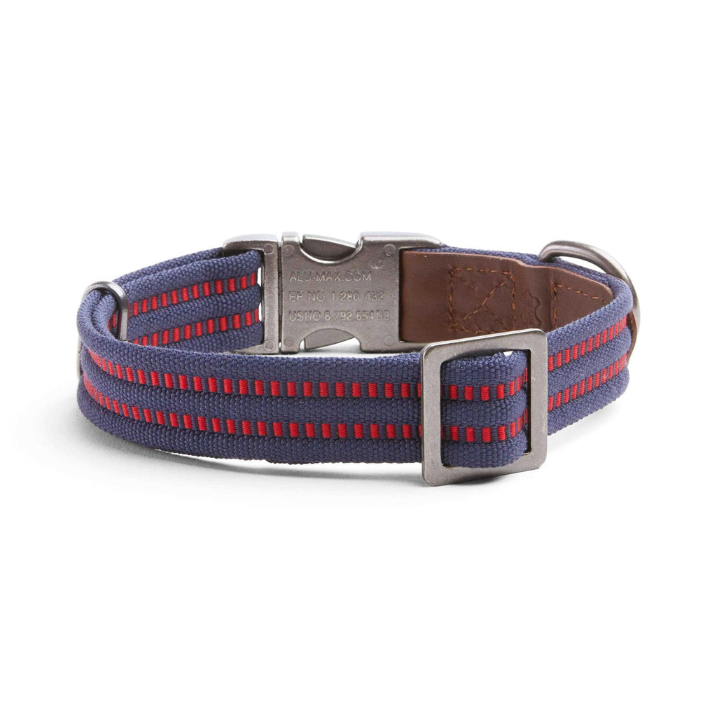 Webbed Dog Collar Y6571