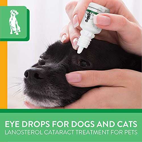 Advanced Lanosterol Solution + NAC Pet Supplies J79382