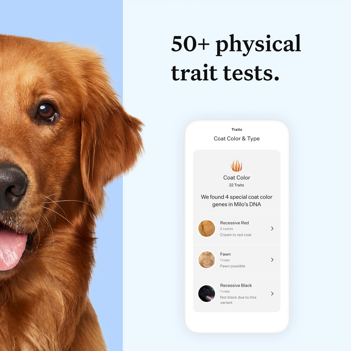 Dog DNA Test O3588