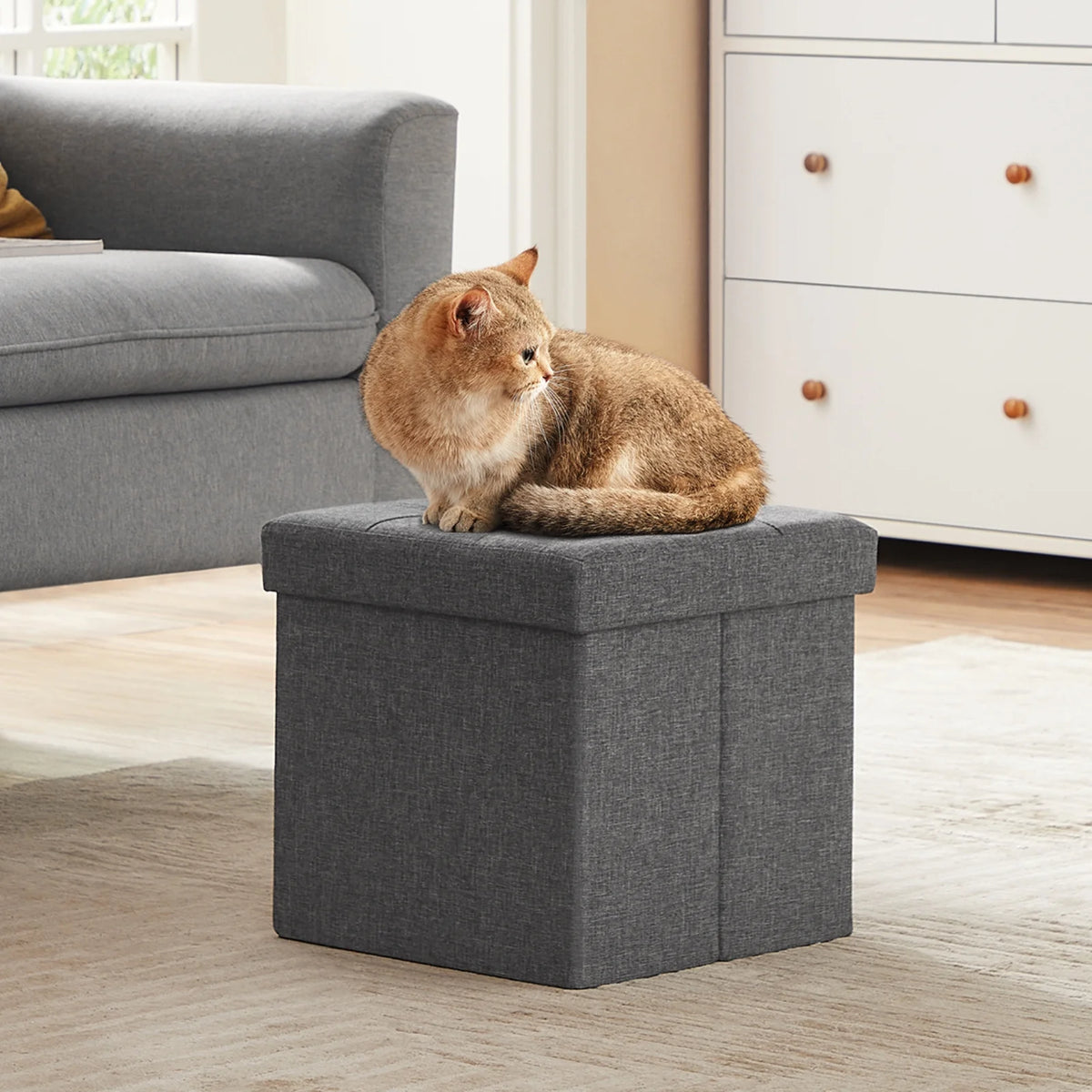 11.8" Dark Gray Storage Ottoman V983682