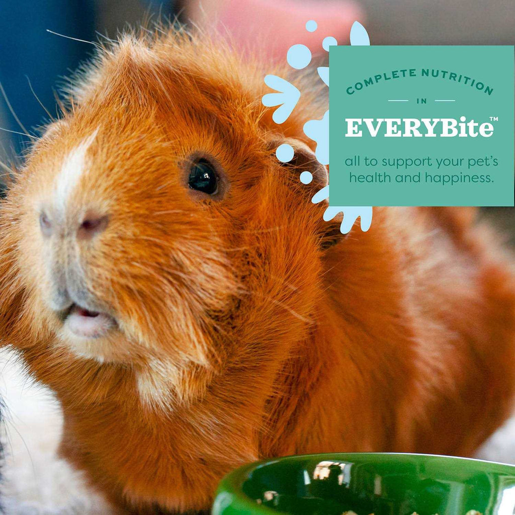 Senior Guinea Pig Food L5757