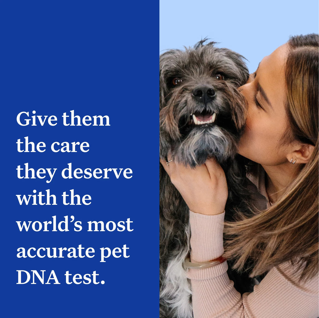 Dog DNA Test O3588