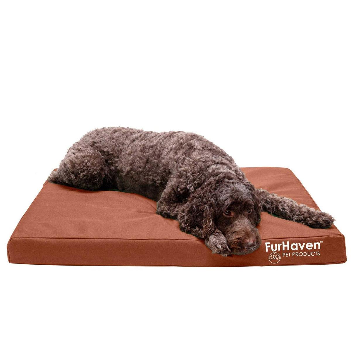 Dog Bed W646