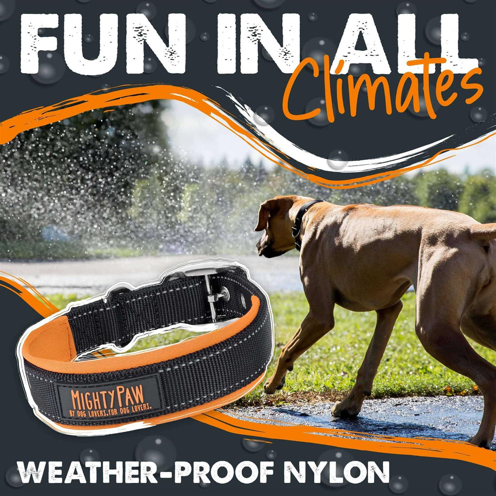 Dog Collar I62537