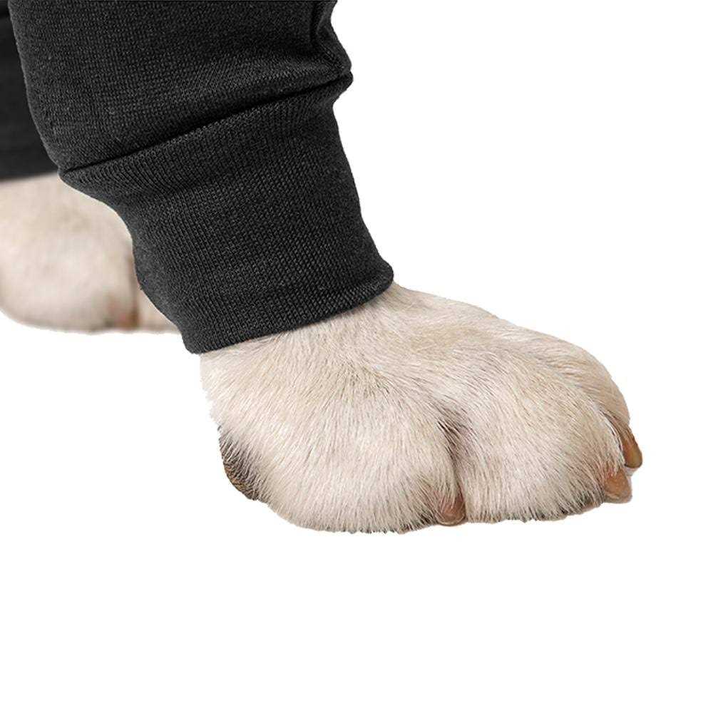 Dog Recovery Sleeves E72388