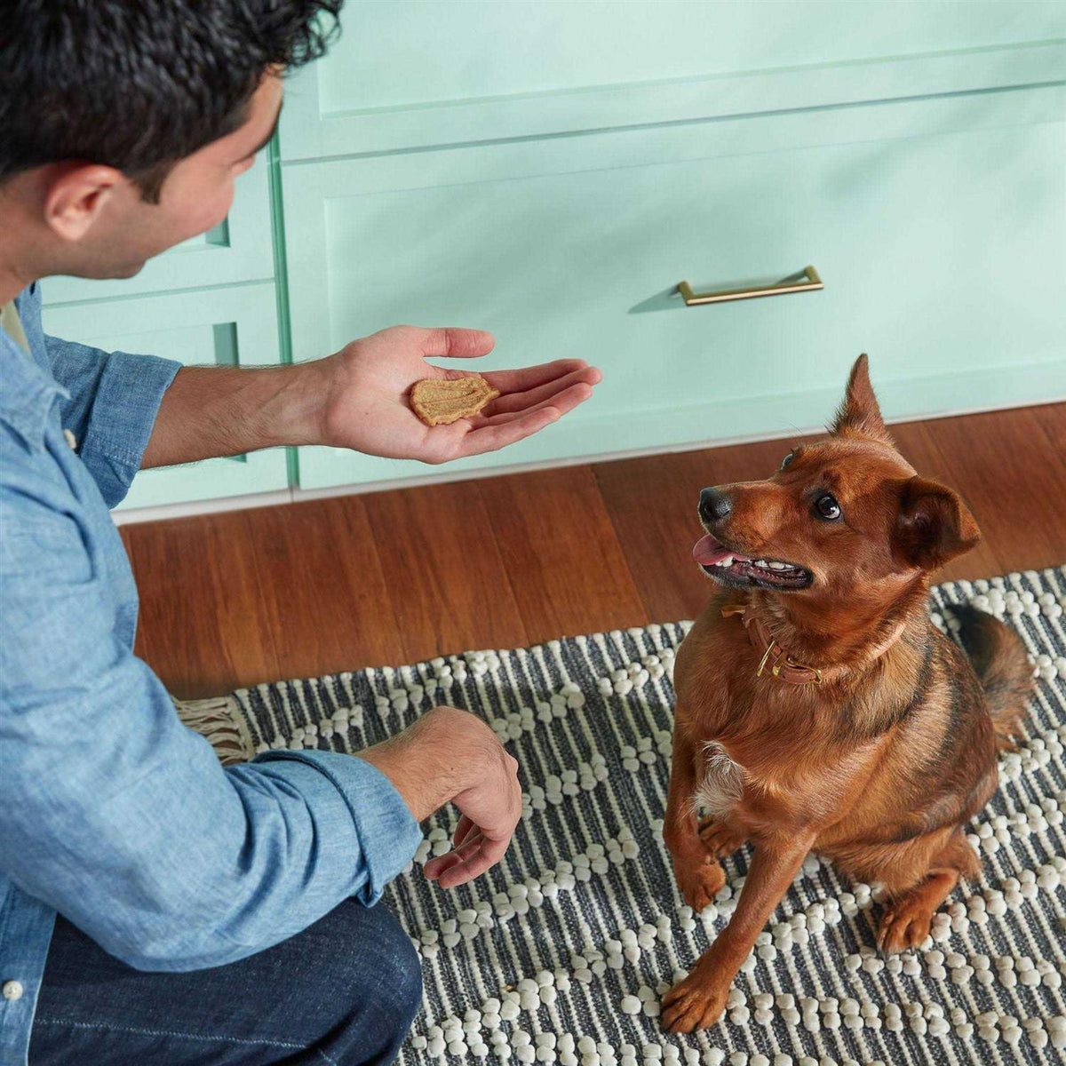 Jerky-Style Dog Treats N34717