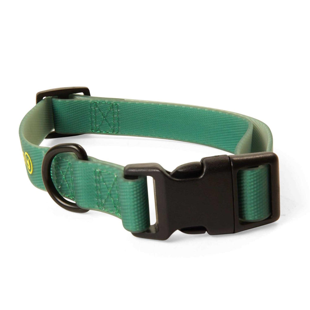 Dog Collar O111