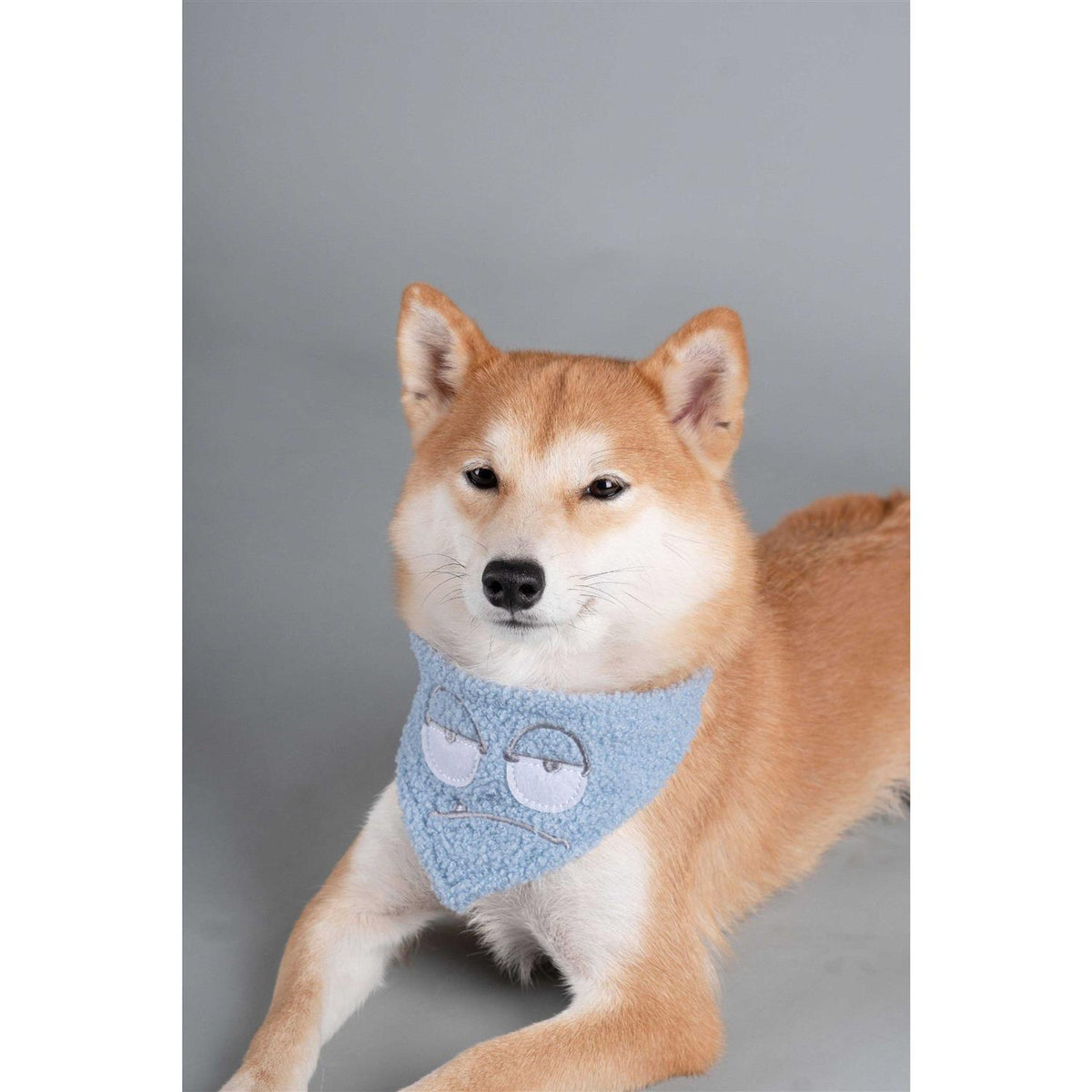 Durable Nylon Dog Harness and Leash D727984