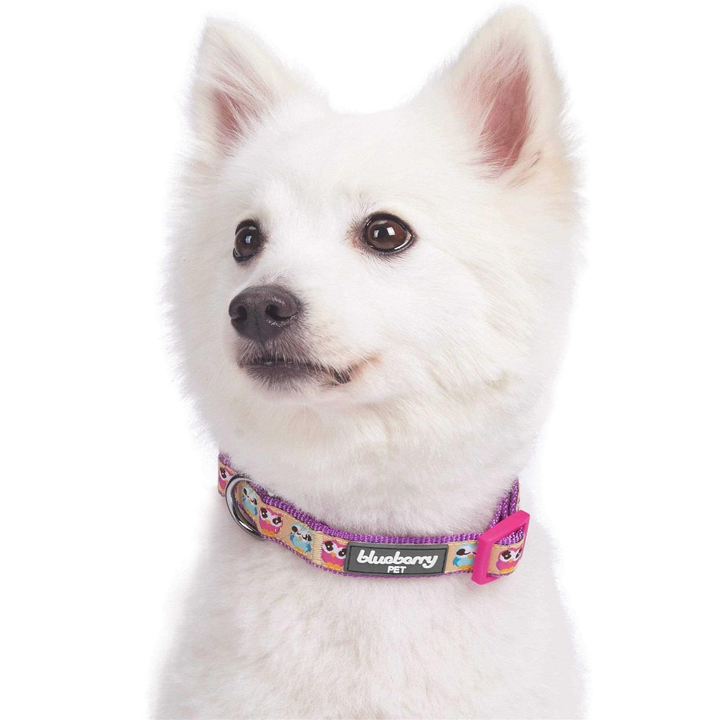 Dog Collar I161