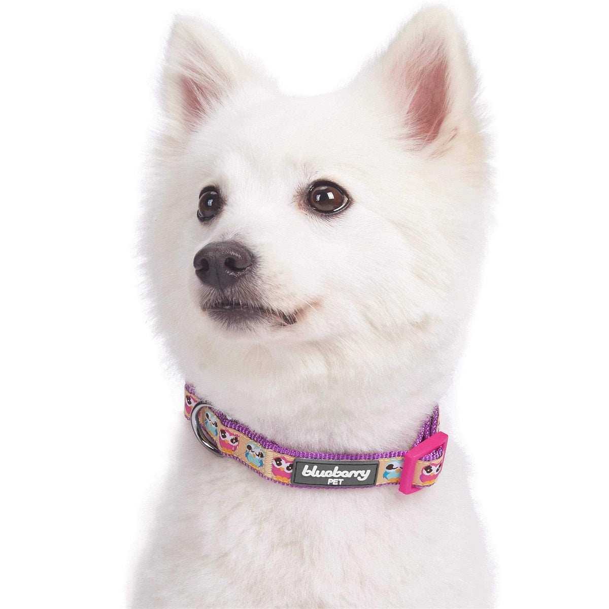 Dog Collar I161
