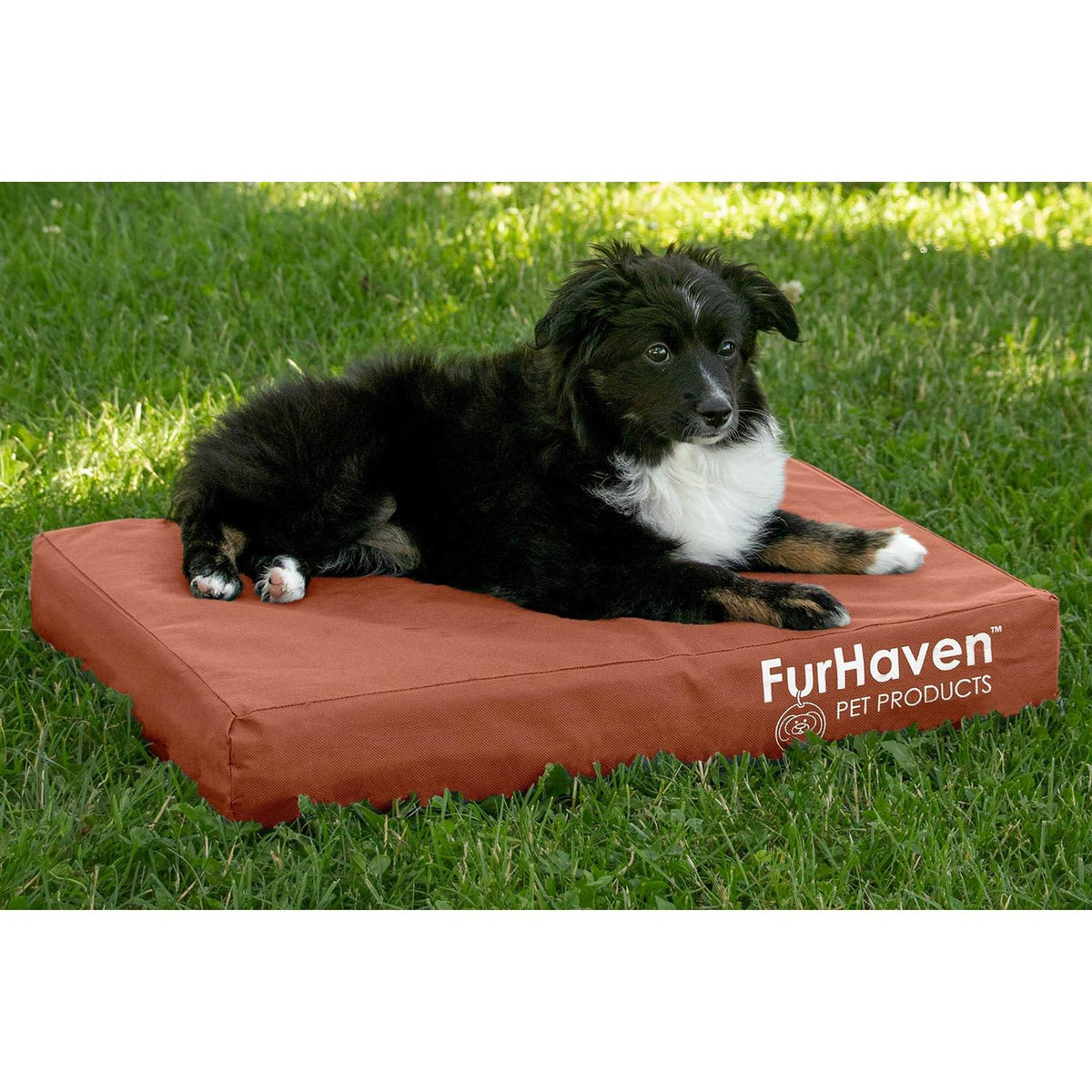 Dog Bed W646