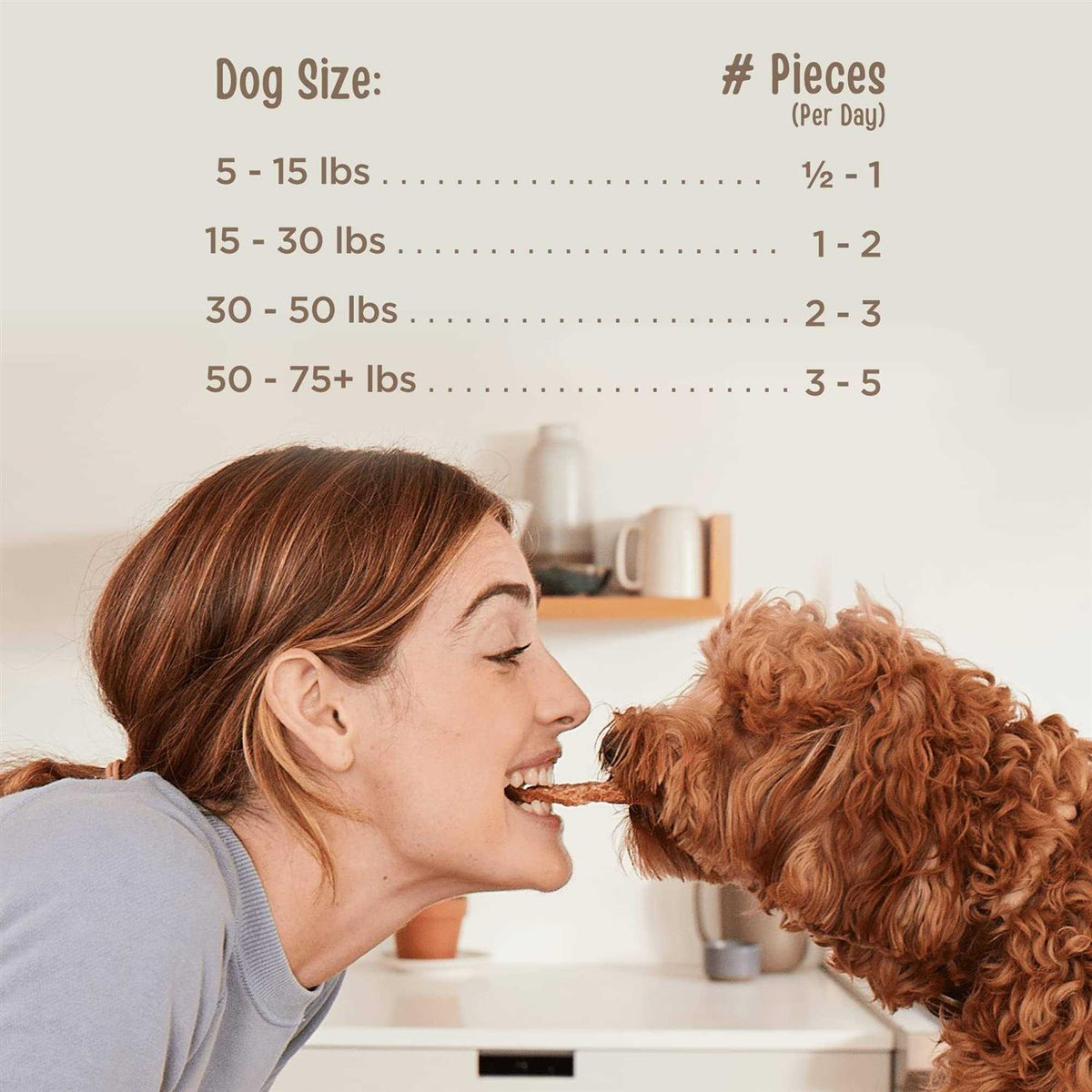 Beef Jerky Dog Treats N2865