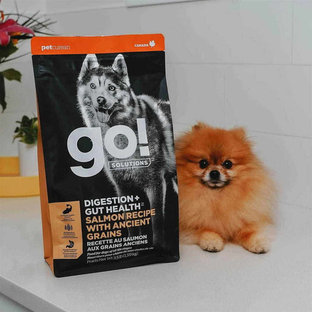 Salmon Recipe with Ancient Grains Dog Food W311906
