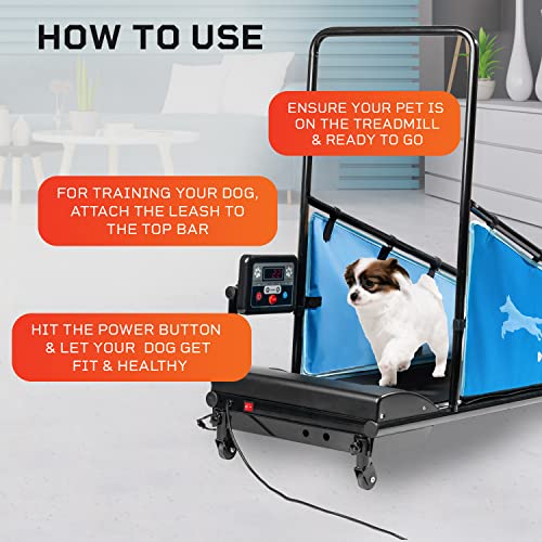 Dog Treadmill for Small & Medium Dogs S45100