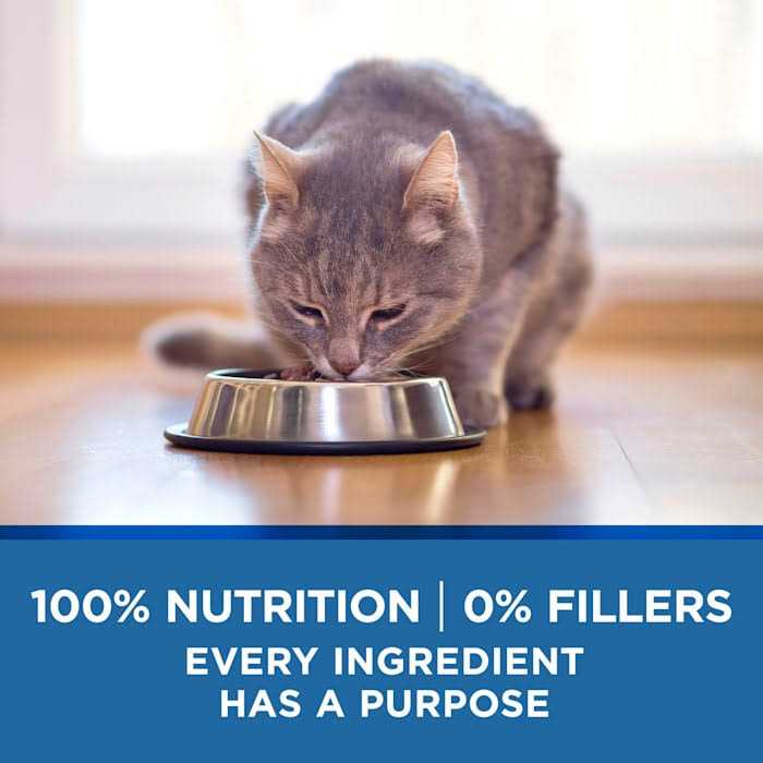 Chicken & Ocean Wet Cat Food W9633