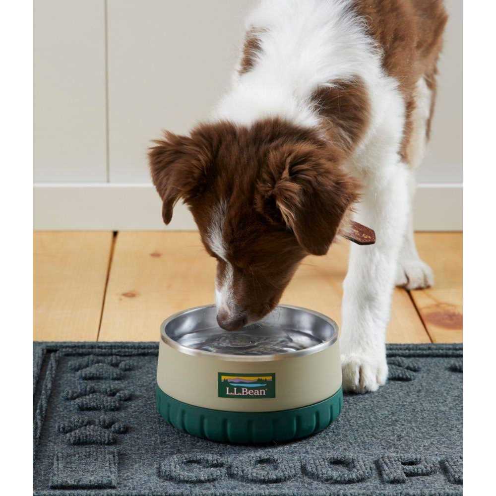 Insulated Dog Bowl E55755