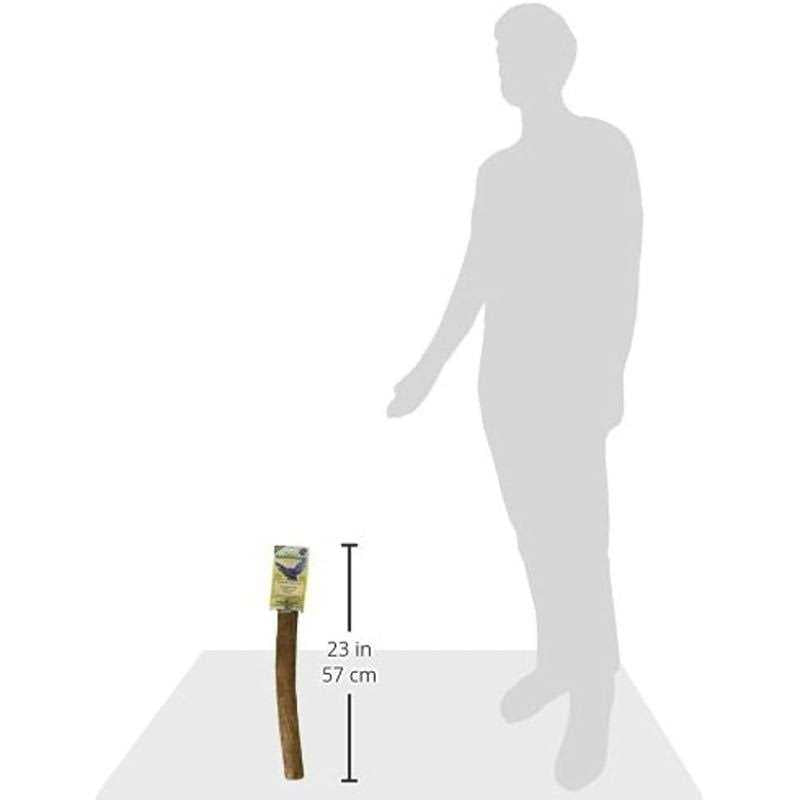 Hardwood Bird Perch W3023