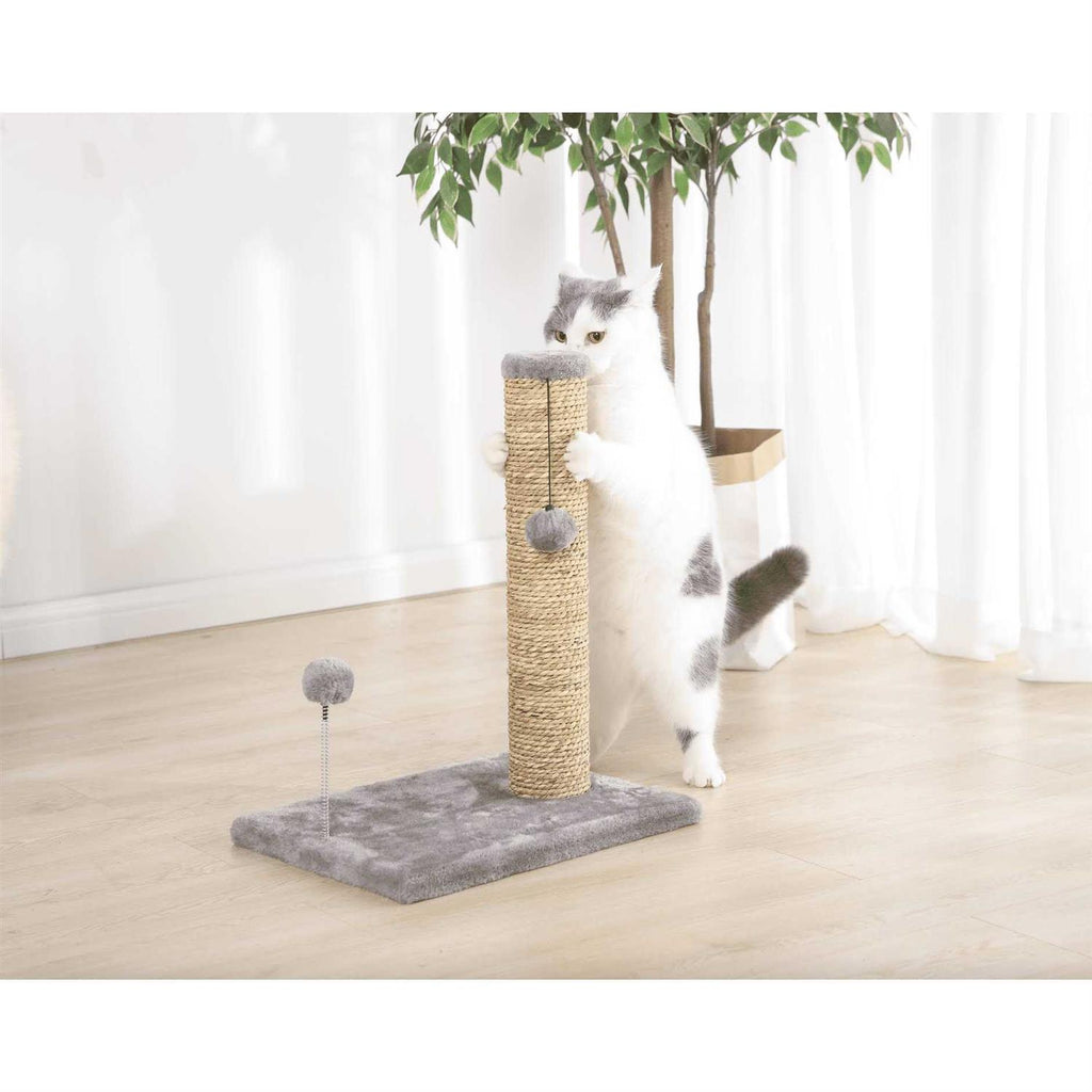 Small Seagrass Scratch and Play Post A4865