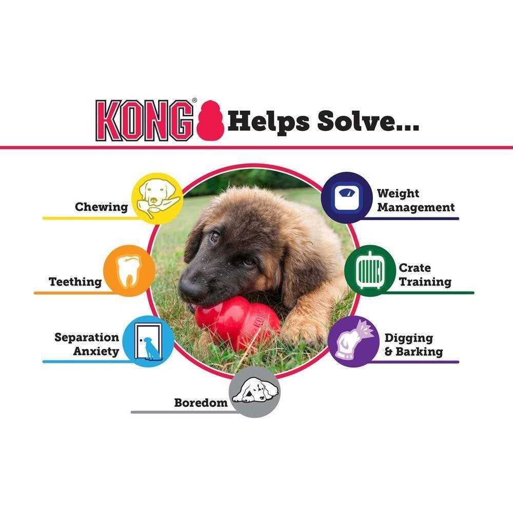 KONG Dog Toy K8465