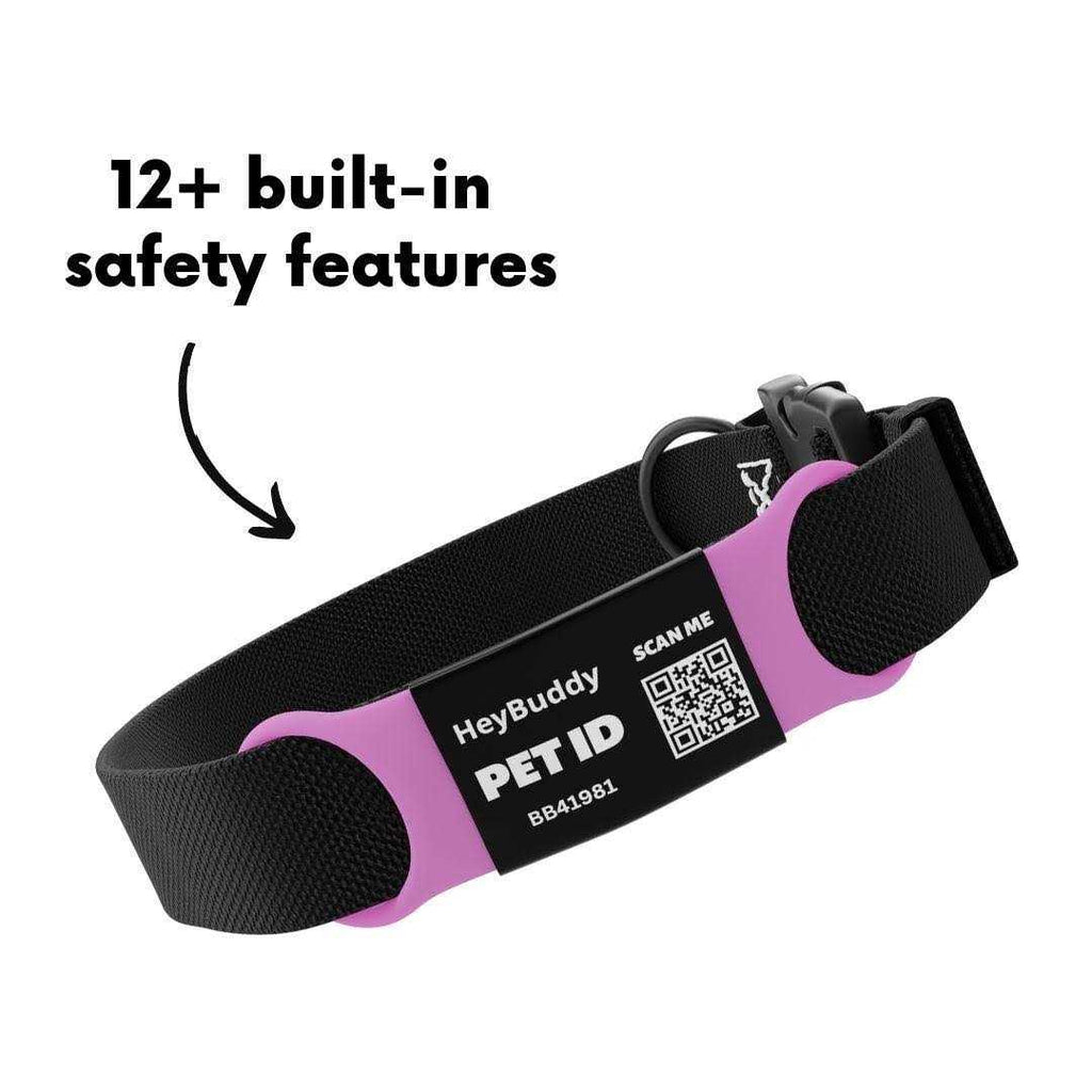 Noiseless QR Code Pet Tag V37596