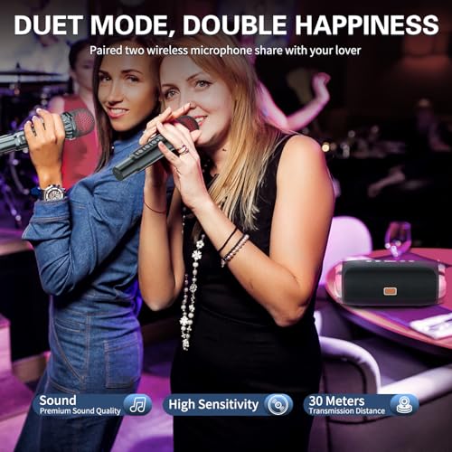 Portable Bluetooth Karaoke Machine with 2 Wireless Microphones M587