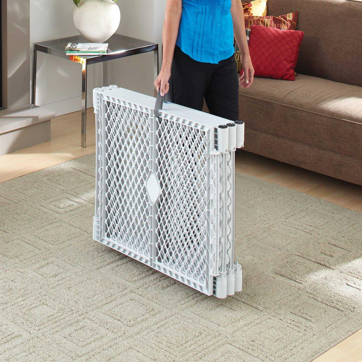 Indoor/Outdoor Pet Yard P581