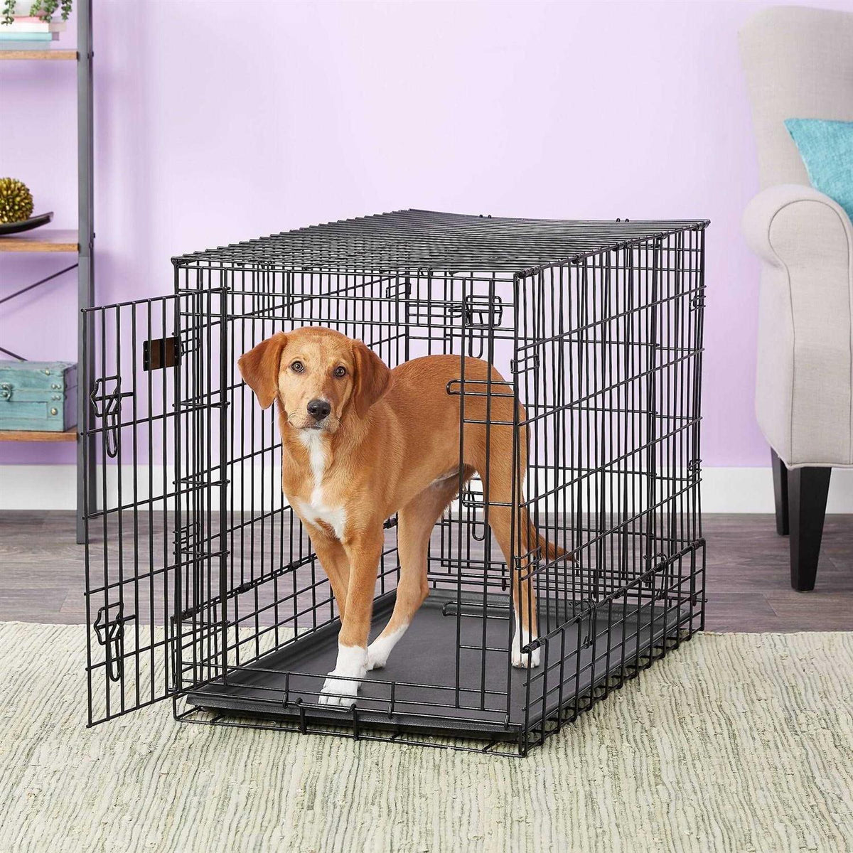 Double Door SUV Dog Crate E956