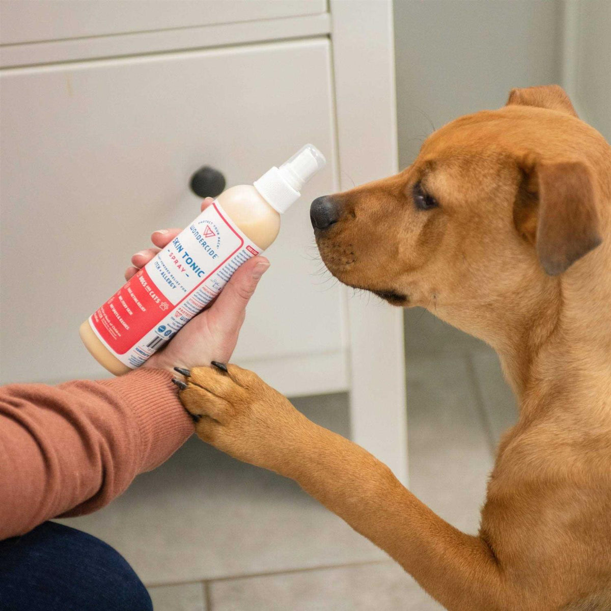 Pet Itch Spray A5581