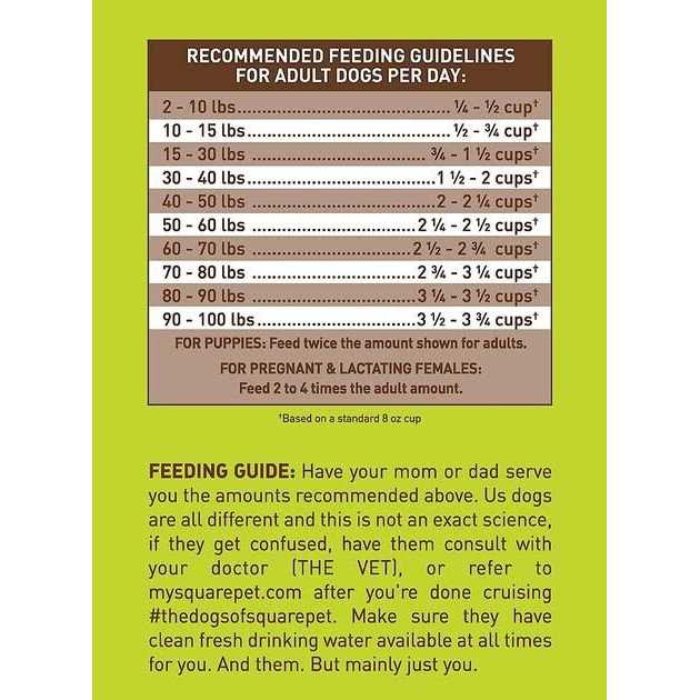Meat Free Dry Dog Food H5681
