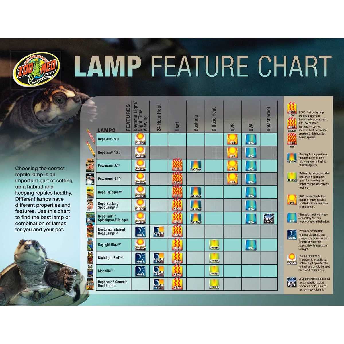 Basking Combo Pack F330