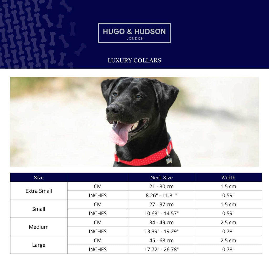 Nylon Dog Collar A533640