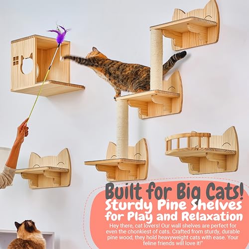 9-Piece Wooden Wall-Mounted Cat Furniture Set U466