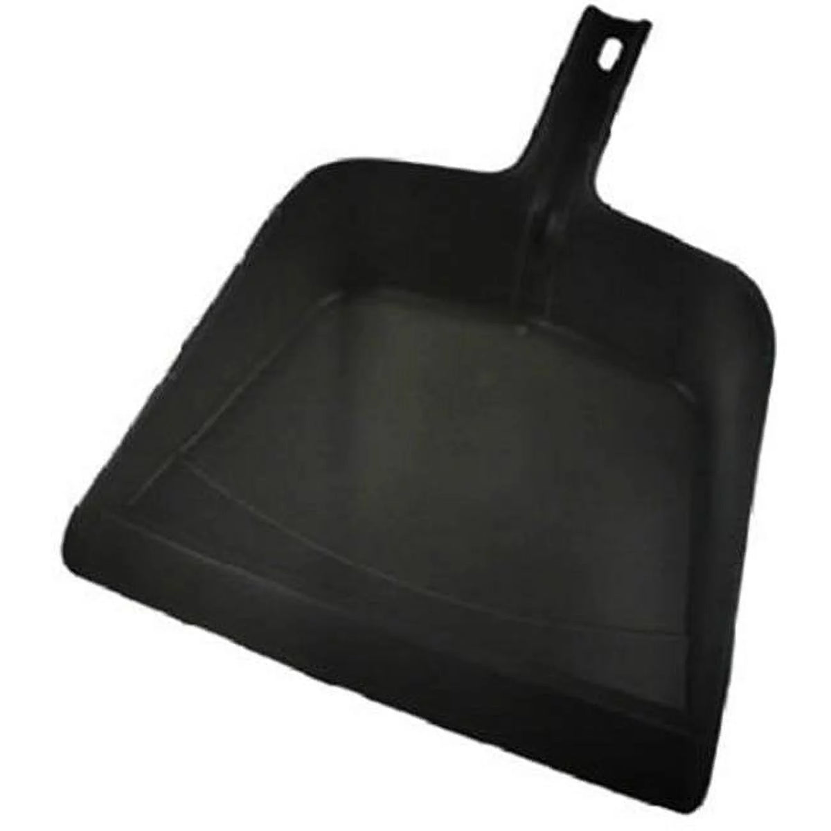 Large Dust Pan With Snap B118395