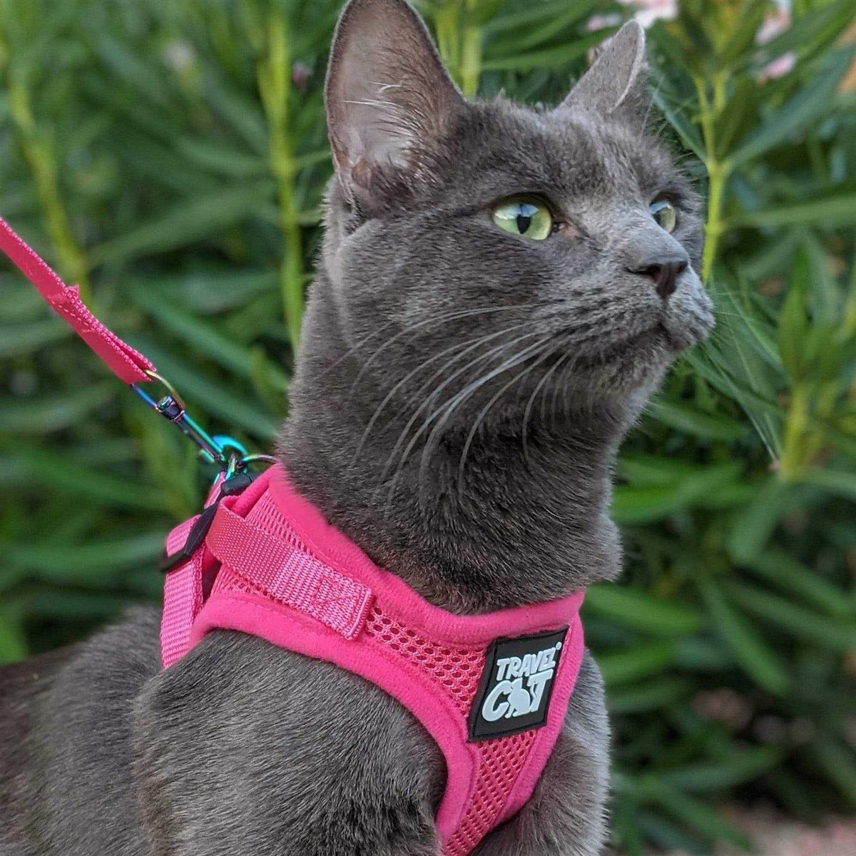 Reflective Cat & Kitten Harness and Leash Z3276