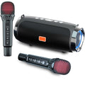 Portable Bluetooth Karaoke Machine with 2 Wireless Microphones M587