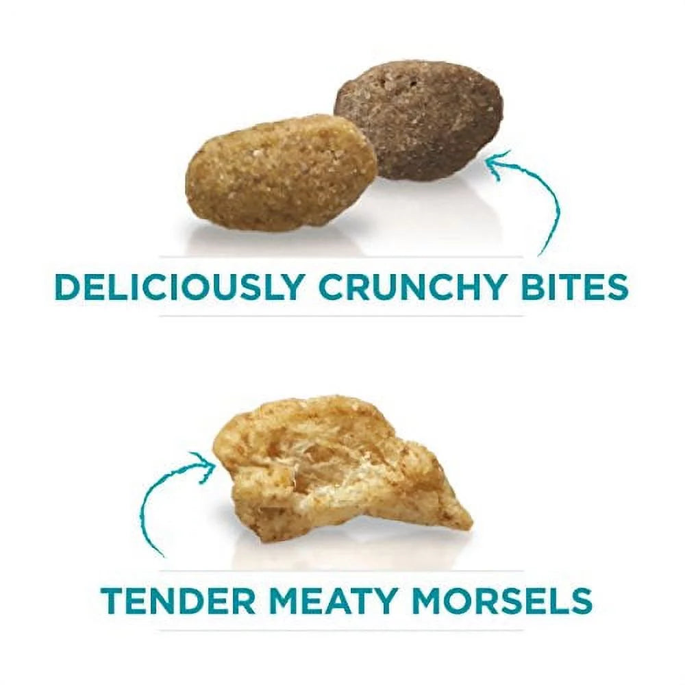 Natural Dry Cat Food With Real Chicken 7 lb. Bag V896