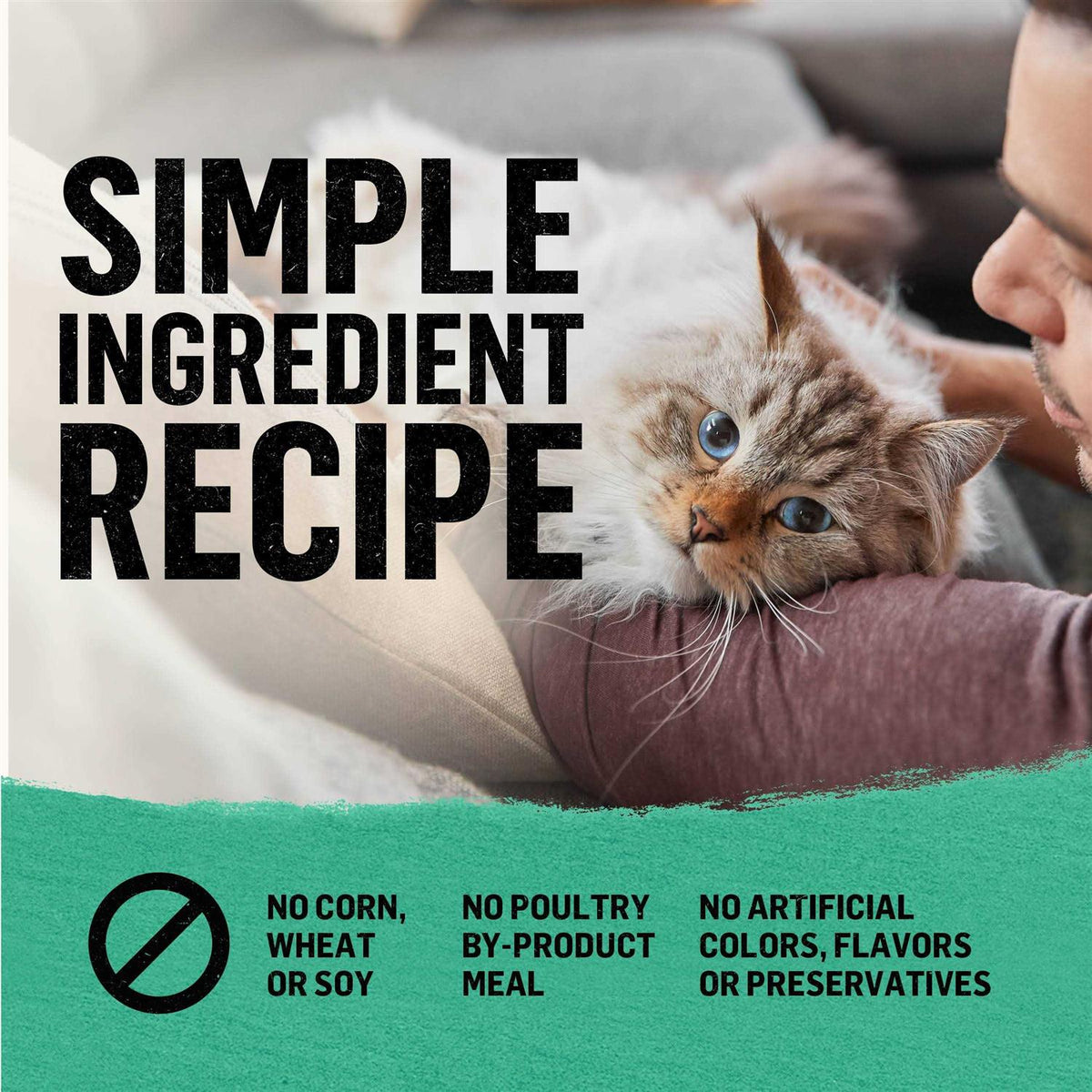 Grain Free Dry Cat Food V333